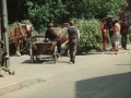 Долгая дорога в дюнах (4 серия) (1981)