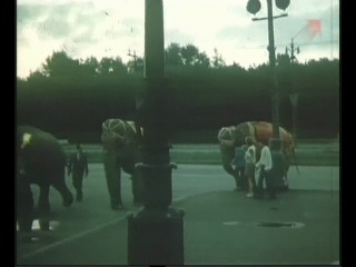 Ночь разведенных мостов (Ленинград) (1977)